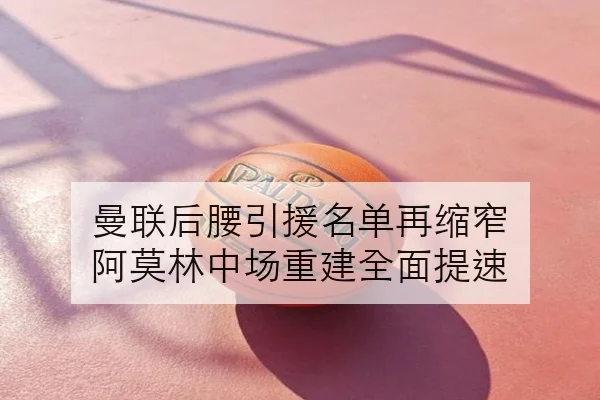 曼联后腰引援名单再缩窄 阿莫林中场重建全面提速