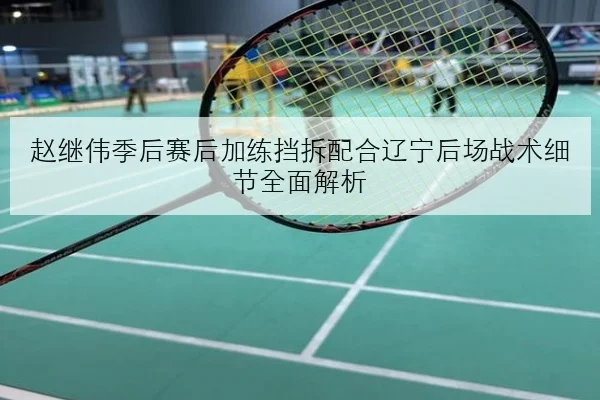 赵继伟季后赛后加练挡拆配合辽宁后场战术细节全面解析